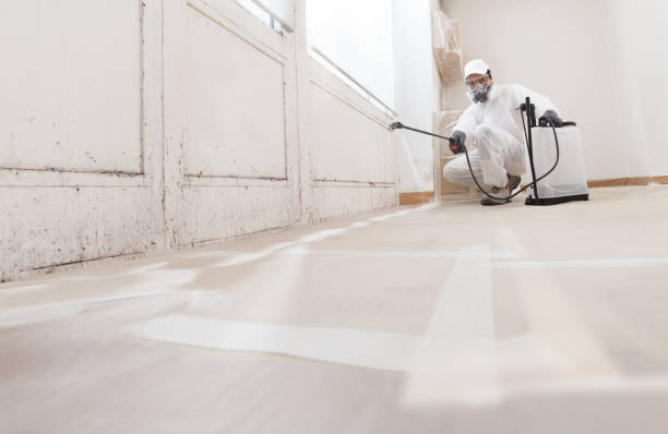 24/7 Emergency Mold Remediation experts in Myersville, MD