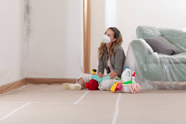 Reliable Mold Remediation contractor in Myersville, MD by 24 Hour Mold Removal